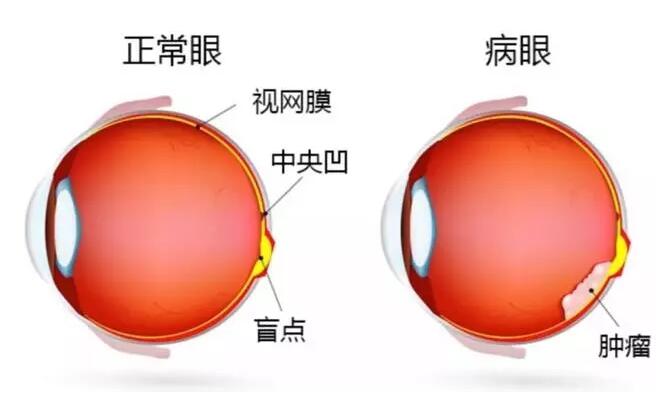 QQ截图20180612143340.jpg QQ截图20180612143340.jpg
